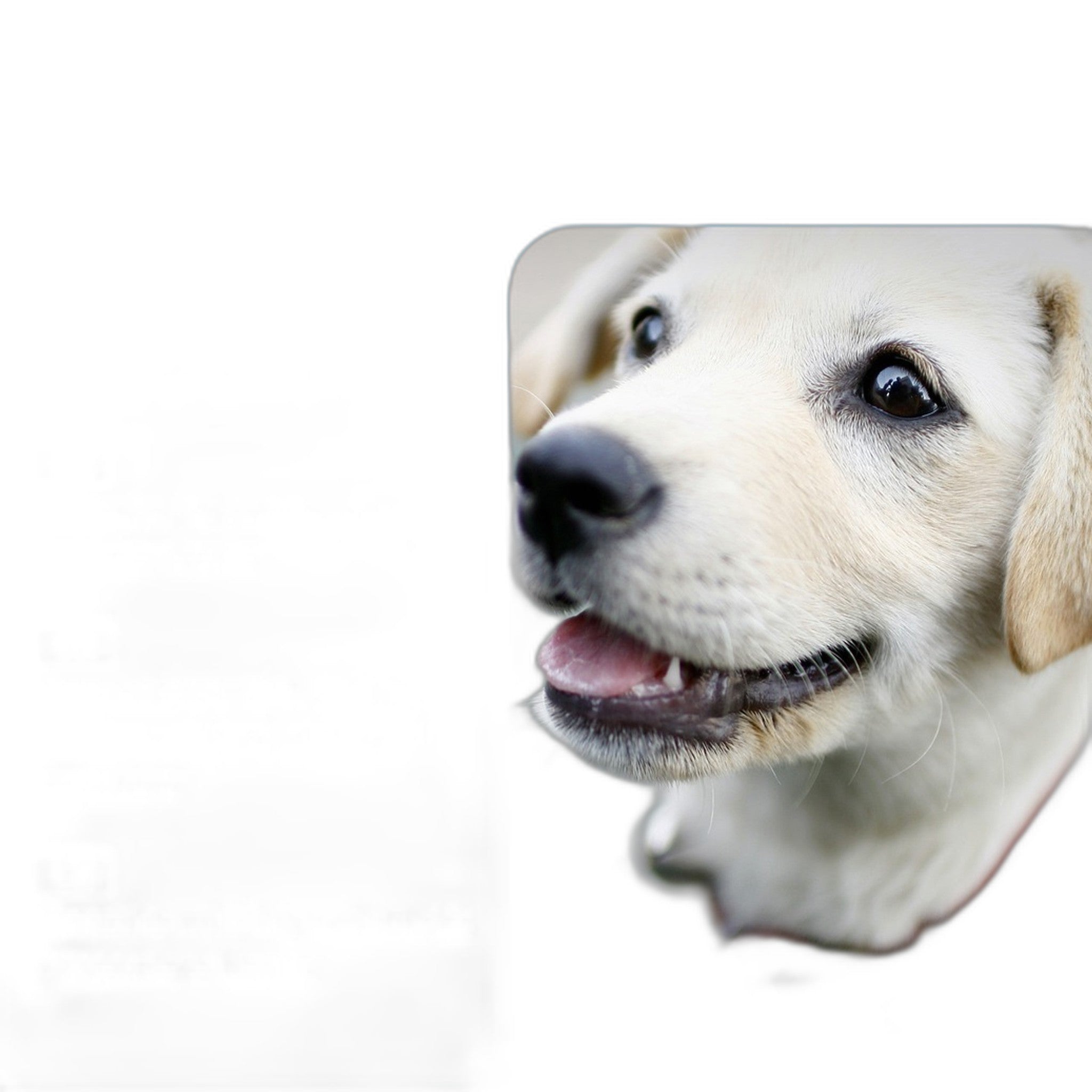 Pet Eye Cleaning Wipes for Dogs & Cats - Tear Stain Remover