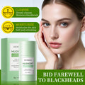 HUNMUI Mugwort Plant Extract Clay Mask Stick - 40g