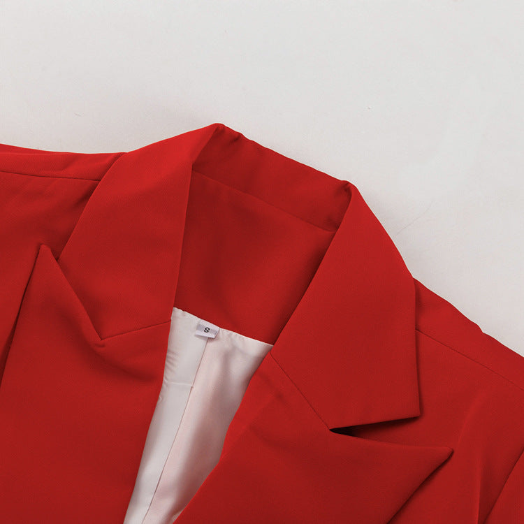 Stylish Single Button Notched Lapel Blazer & Maxi Skirt Set
