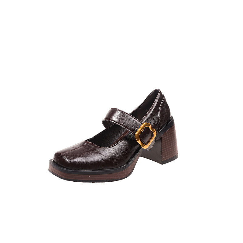 Women's 2026 New Retro High Heel Mary Jane Shoes