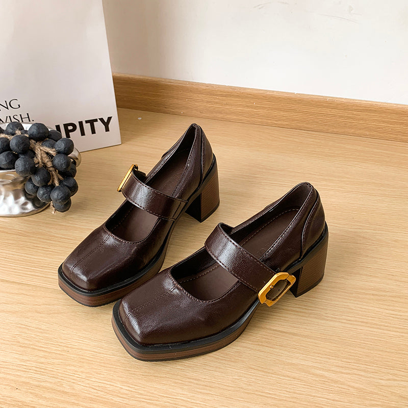 Women's 2026 New Retro High Heel Mary Jane Shoes