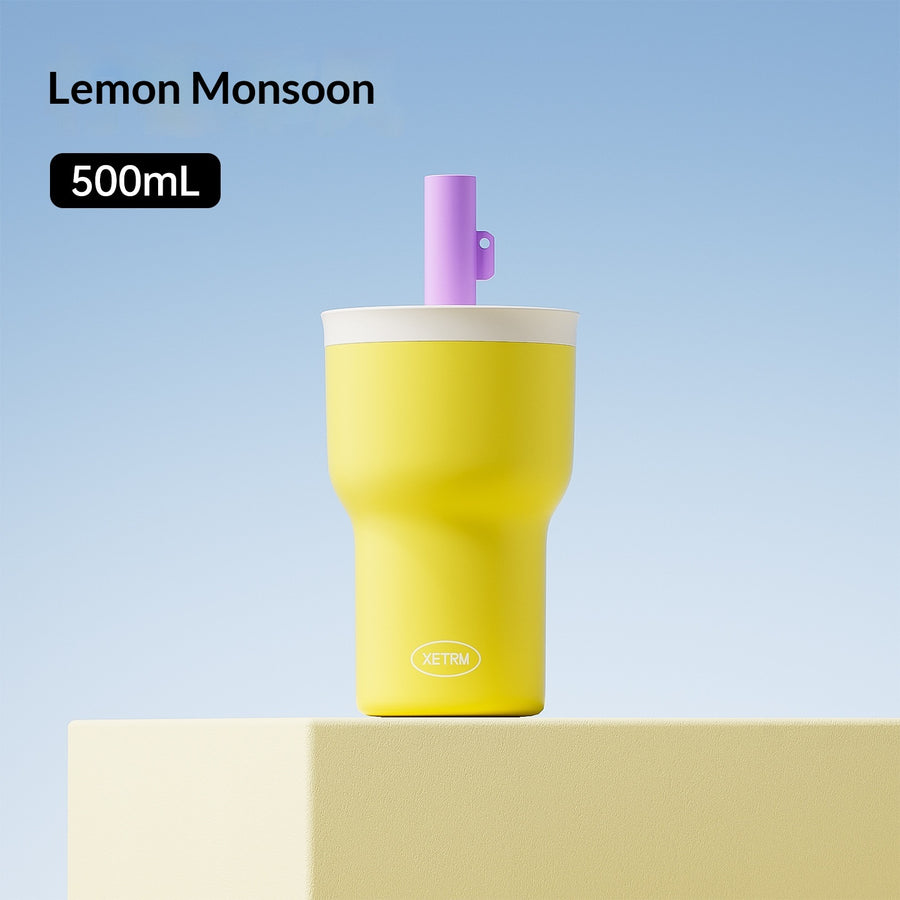 Large Capacity Insulated Tumbler with Straw - Stylish Design