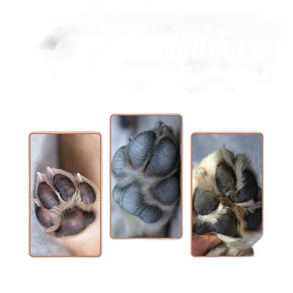 Pet Moisturizing Paw Balm for Cracking and Nourishing Paws