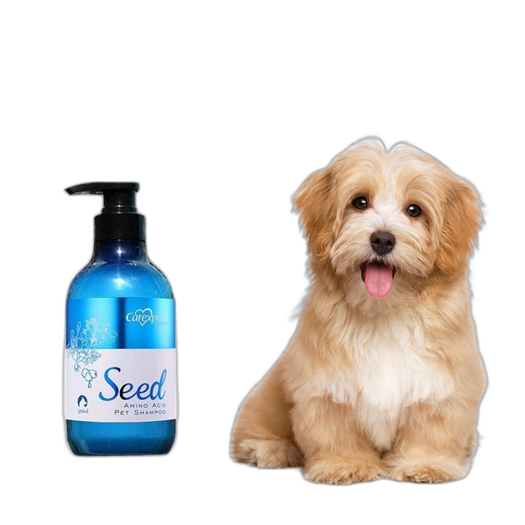 Pet Shampoo with Seed Extracts and Amino Acids for Coat Care
