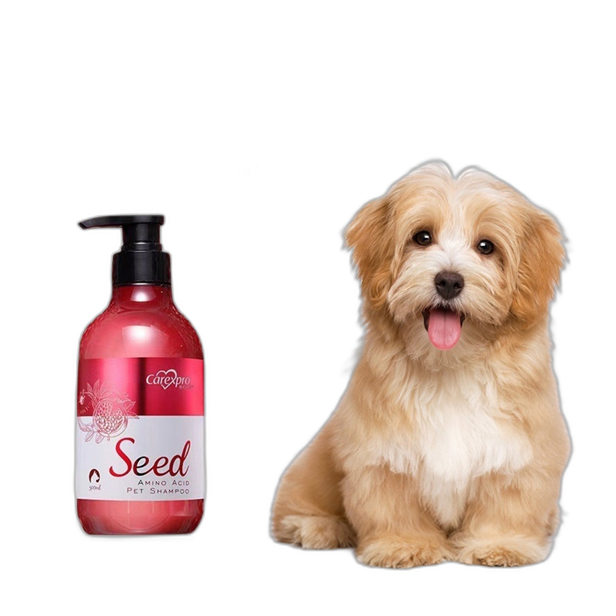 Pet Shampoo with Seed Extracts and Amino Acids for Coat Care