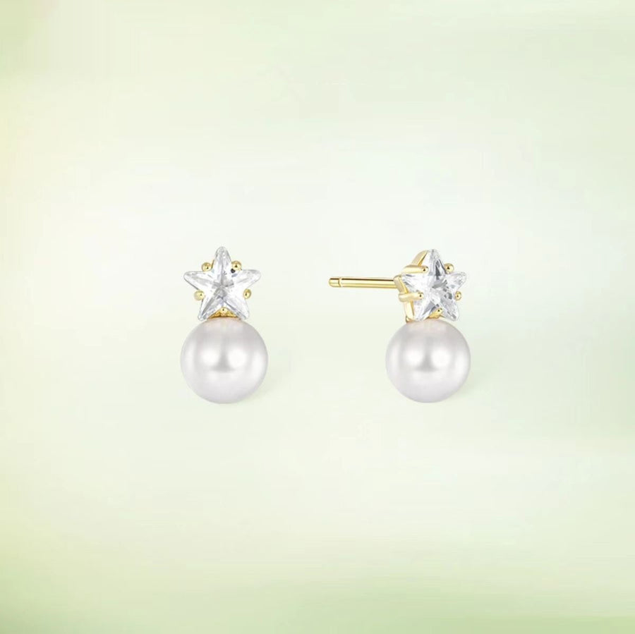 Light-Luxury Minimalist Earrings for Women - Elegant Style