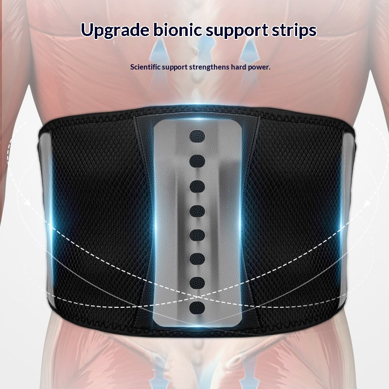 Multifunctional Heating Therapy Waist Support Belt for Comfort