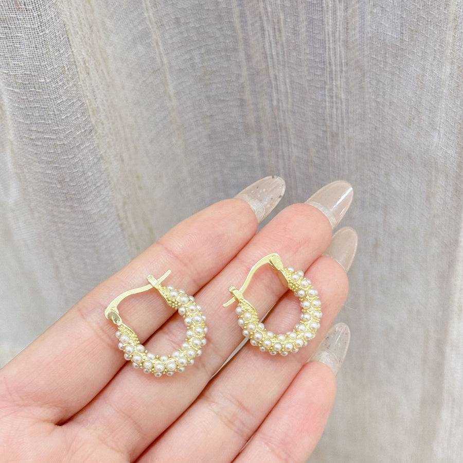 Casual French-style Elegant Earrings for Women